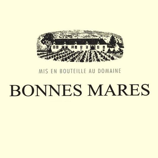 DOMAINE DE VOGUE BONNES MARES | 1.5L Vintage 20